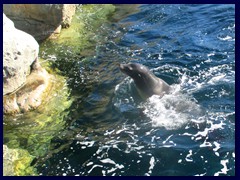 L'Oceanogràfic Oceanarium 044